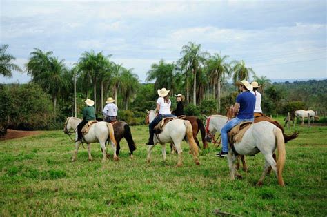 estancia do beto - estância do beto ananindeua